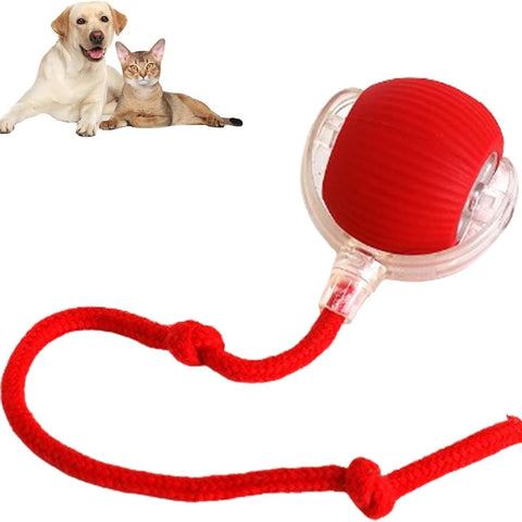 Smart Interactive Rolling Ball for Dogs & Cats