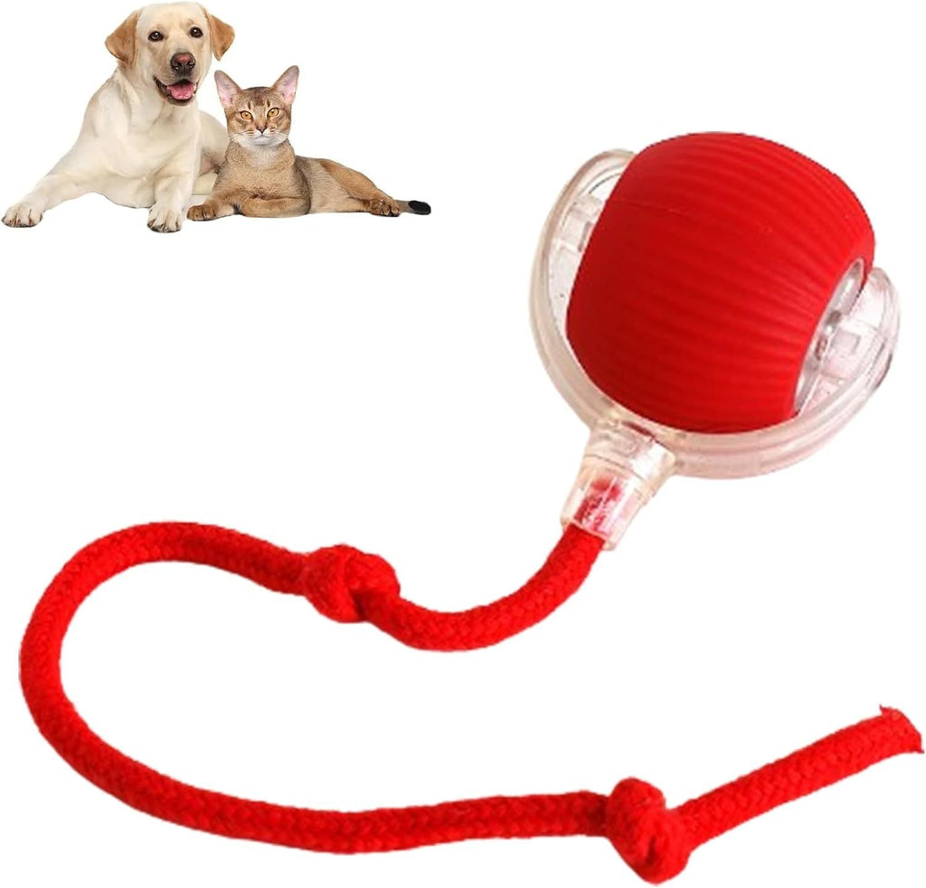 Smart Interactive Rolling Ball for Dogs & Cats