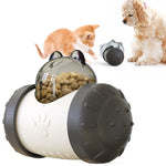 Interactive Pet Food Ball Toy for Dogs & Cats