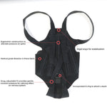 Back Brace For Dogs With IVDD