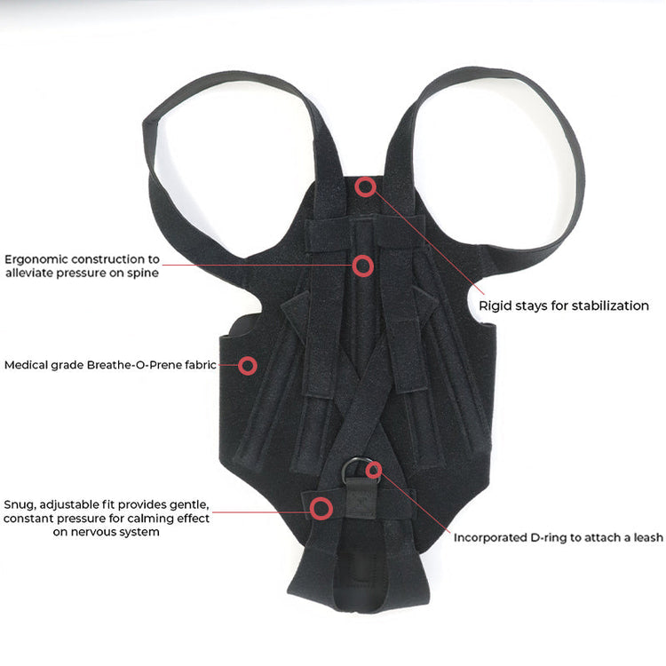 Back Brace For Dogs With IVDD