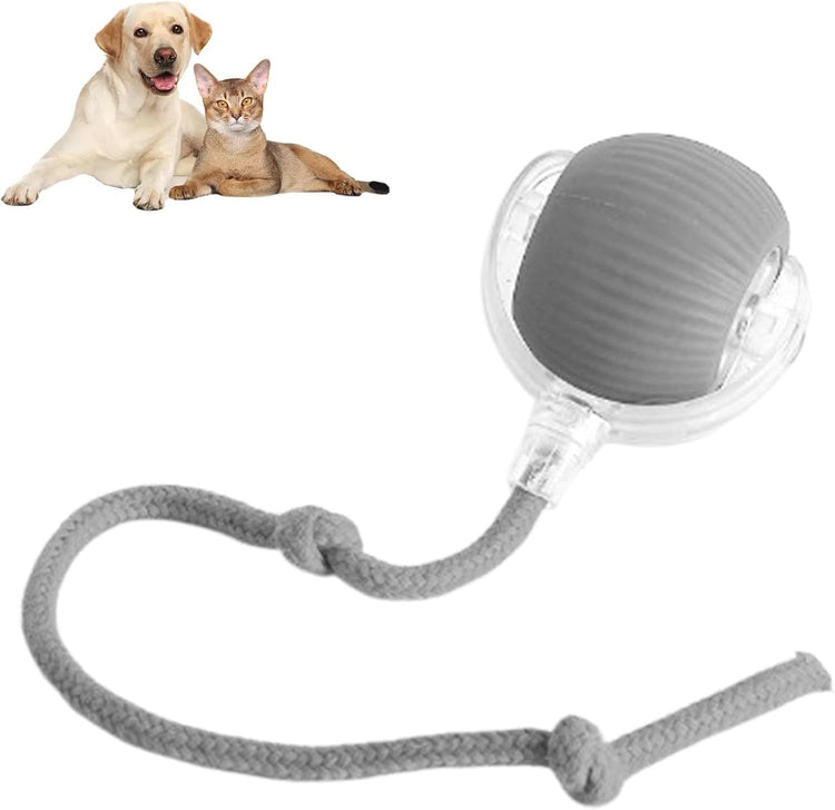 Smart Interactive Rolling Ball for Dogs & Cats