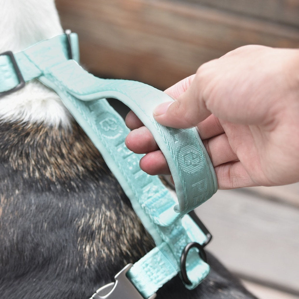 PETMARVEL Adjustable Embroidered Stylish Dog Harness