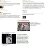 Back Brace For Dogs With IVDD