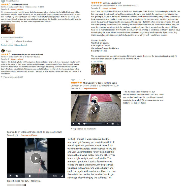 Back Brace For Dogs With IVDD