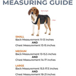 Back Brace For Dogs With IVDD