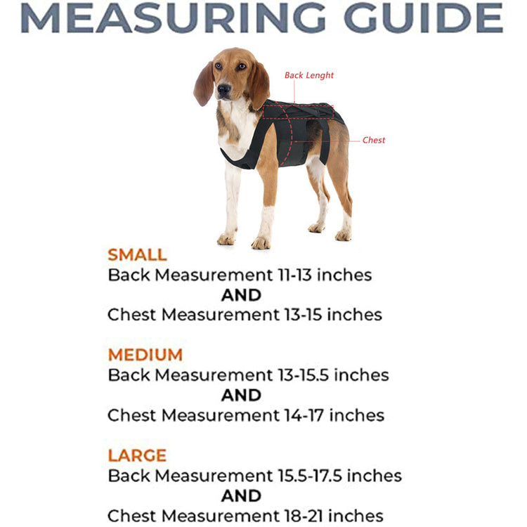 Back Brace For Dogs With IVDD