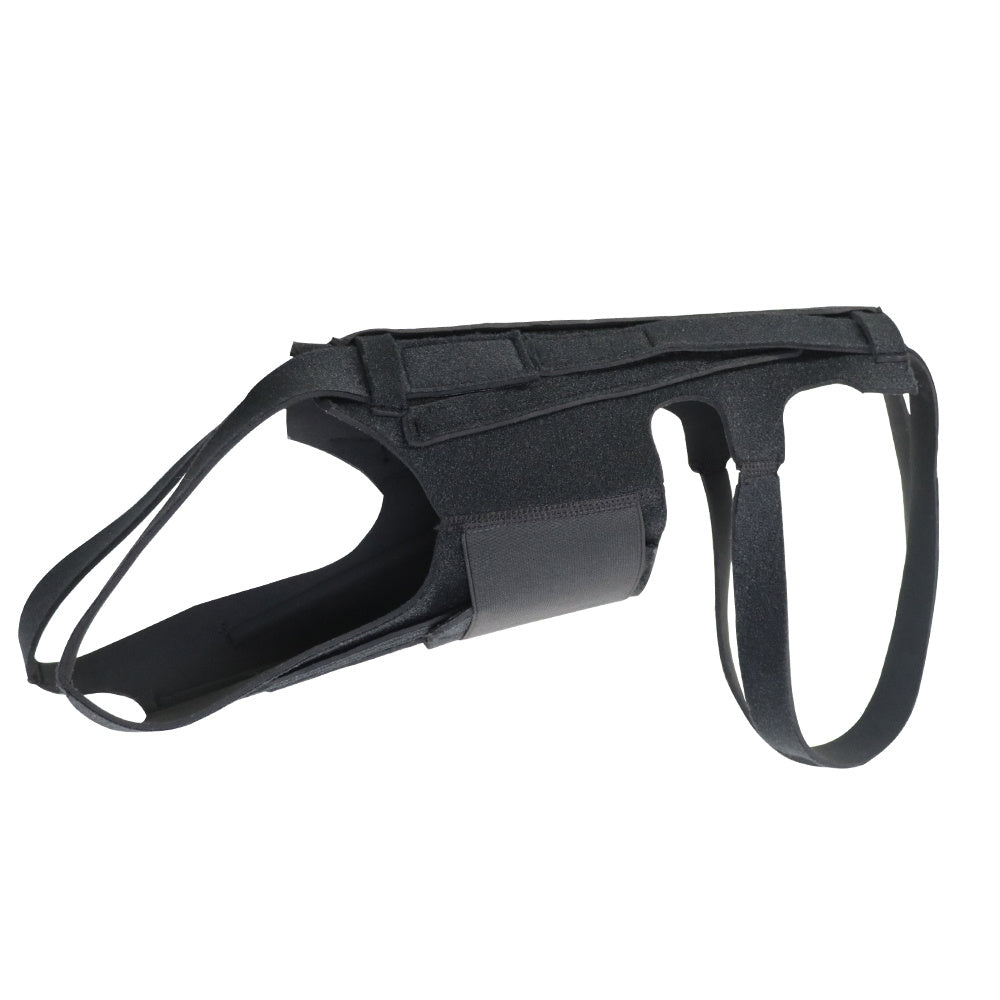 Back Brace For Dogs With IVDD