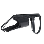 Back Brace For Dogs With IVDD