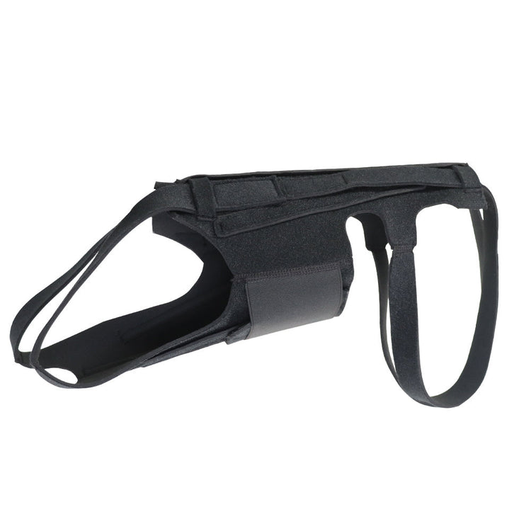 Back Brace For Dogs With IVDD