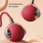 Smart Interactive Rolling Ball for Dogs & Cats